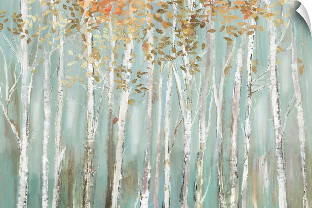 Contemporary horizontal painting of a forest of birch trees with warm colored leaves.