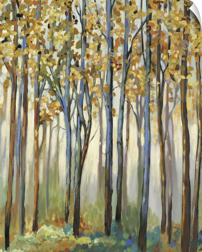 A forest of tall, narrow trees with golden leaves.