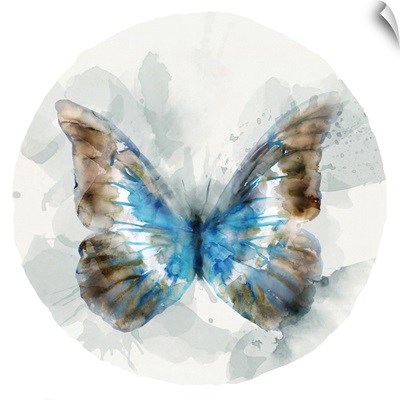 Indigo Butterfly II
