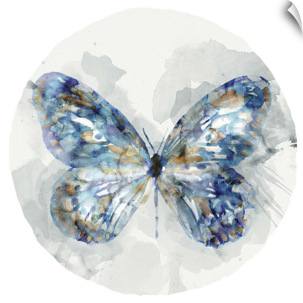 Watercolor artwork of a butterfly with broad blue and copper colored wings on a grey circular design.