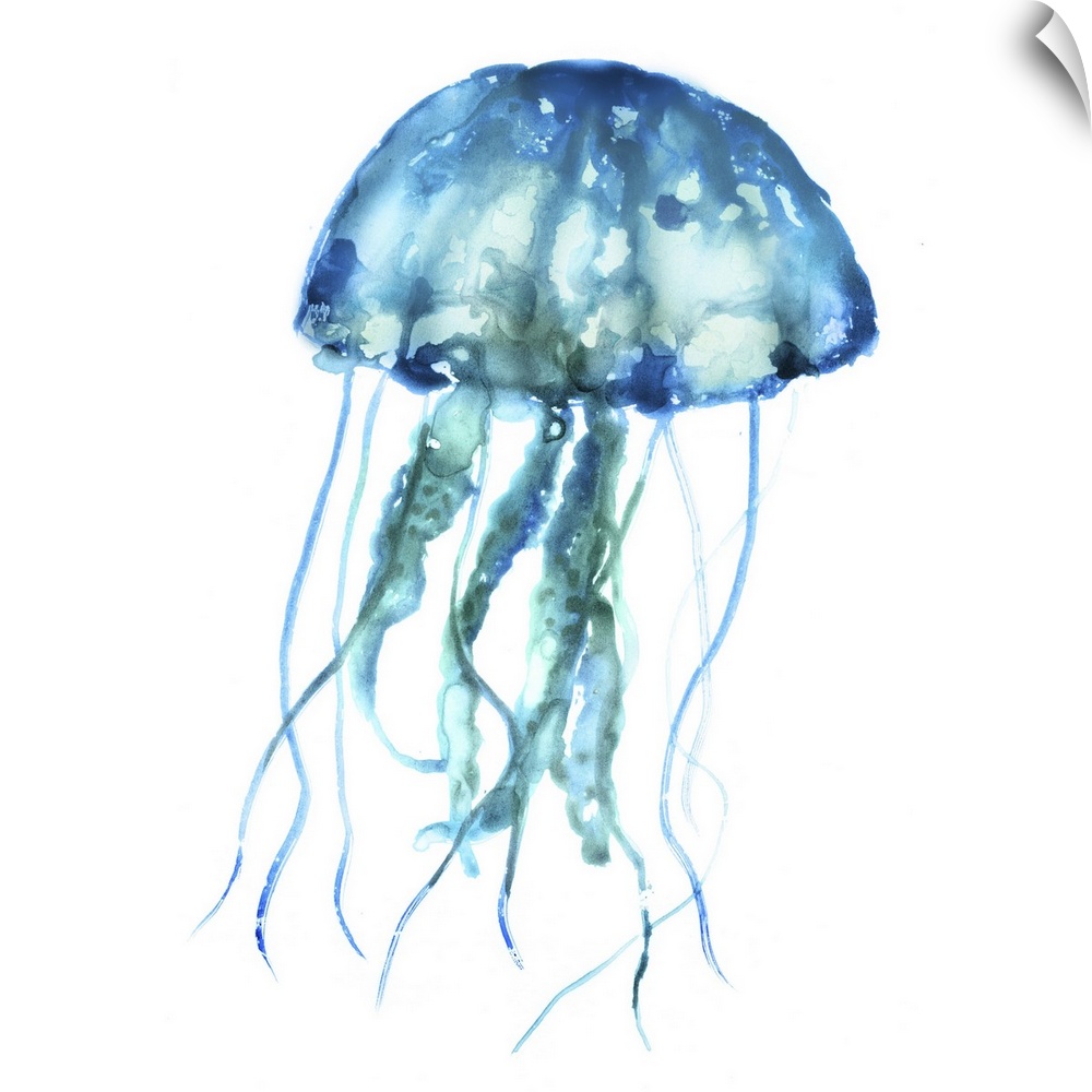 Blue-toned watercolor painting of a jellyfish on white.