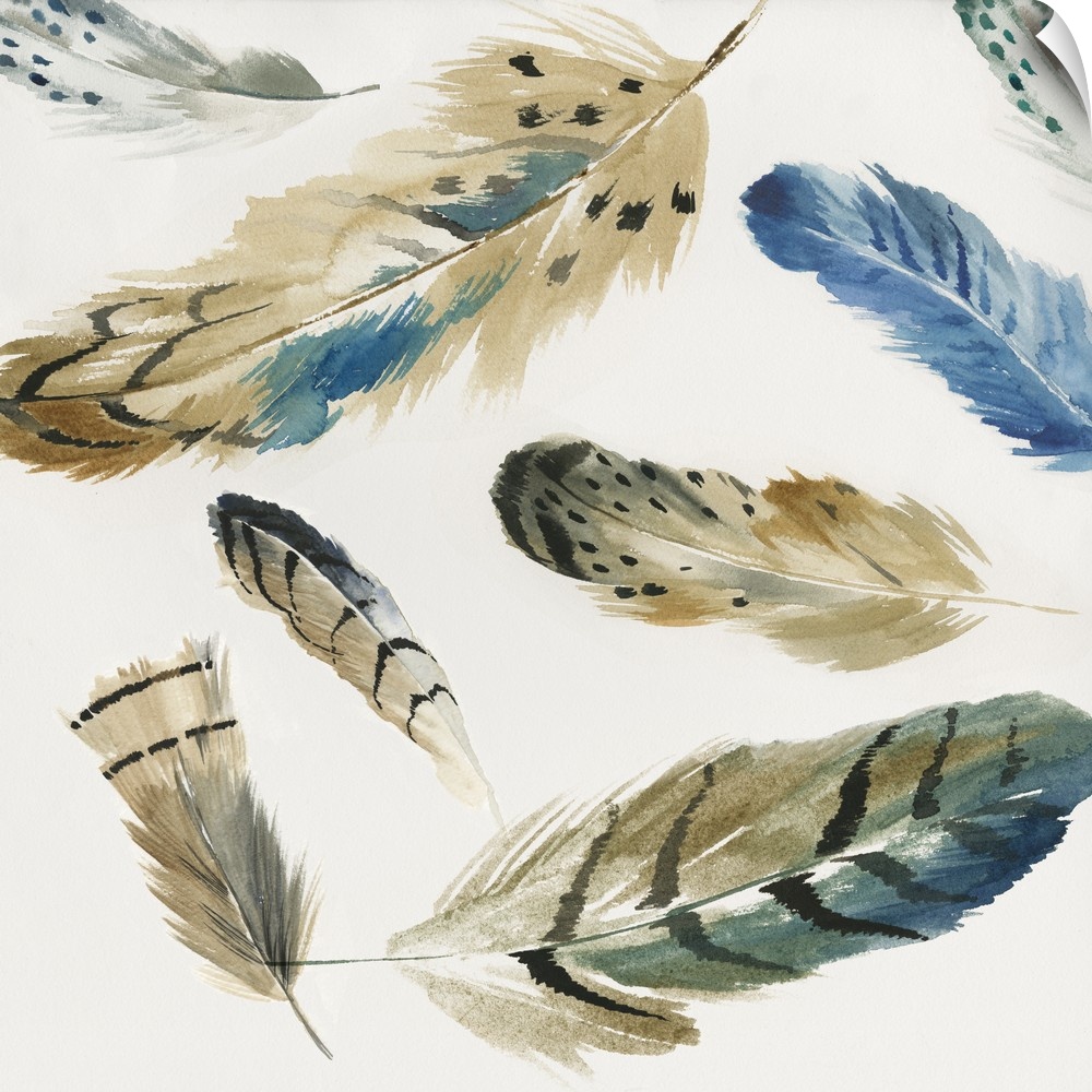 Watercolor painting of a variety of feathers floating in the air.