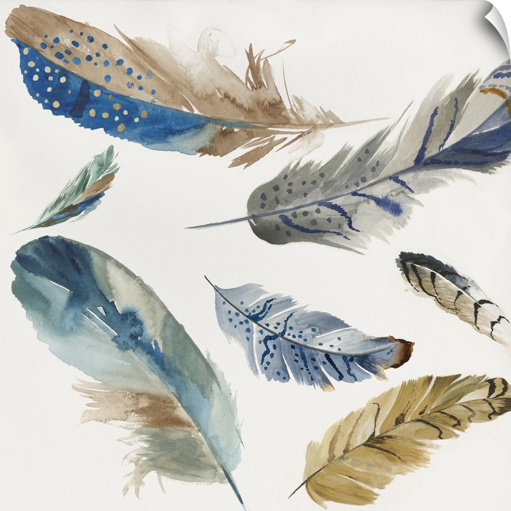 Watercolor painting of a variety of feathers floating in the air.