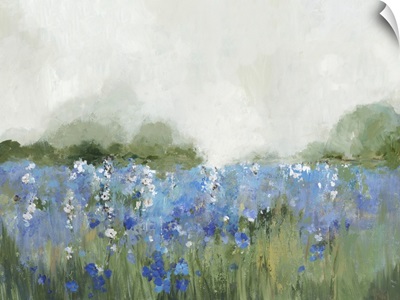 Meadow Bluebells Field