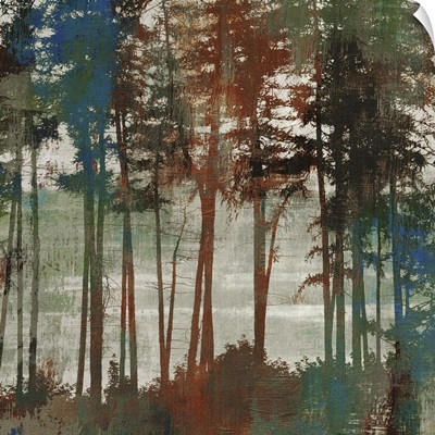 Spruce Woods I