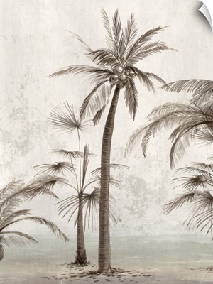 Vintage Palm Trees II