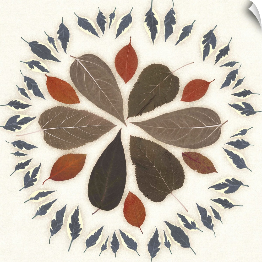 Variety style of leaves in a repetitive circular design.
