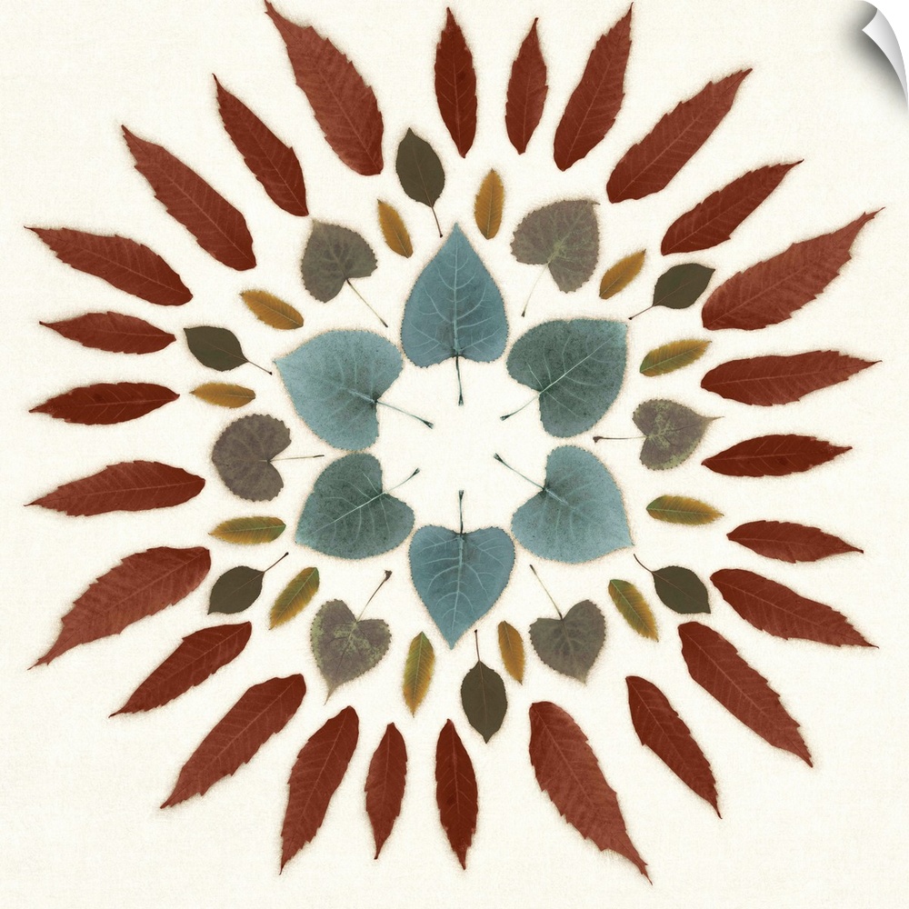 Variety style of leaves in a repetitive circular design.