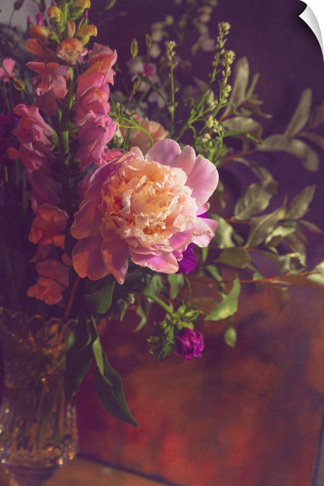 Still life with peony and snap dragons.