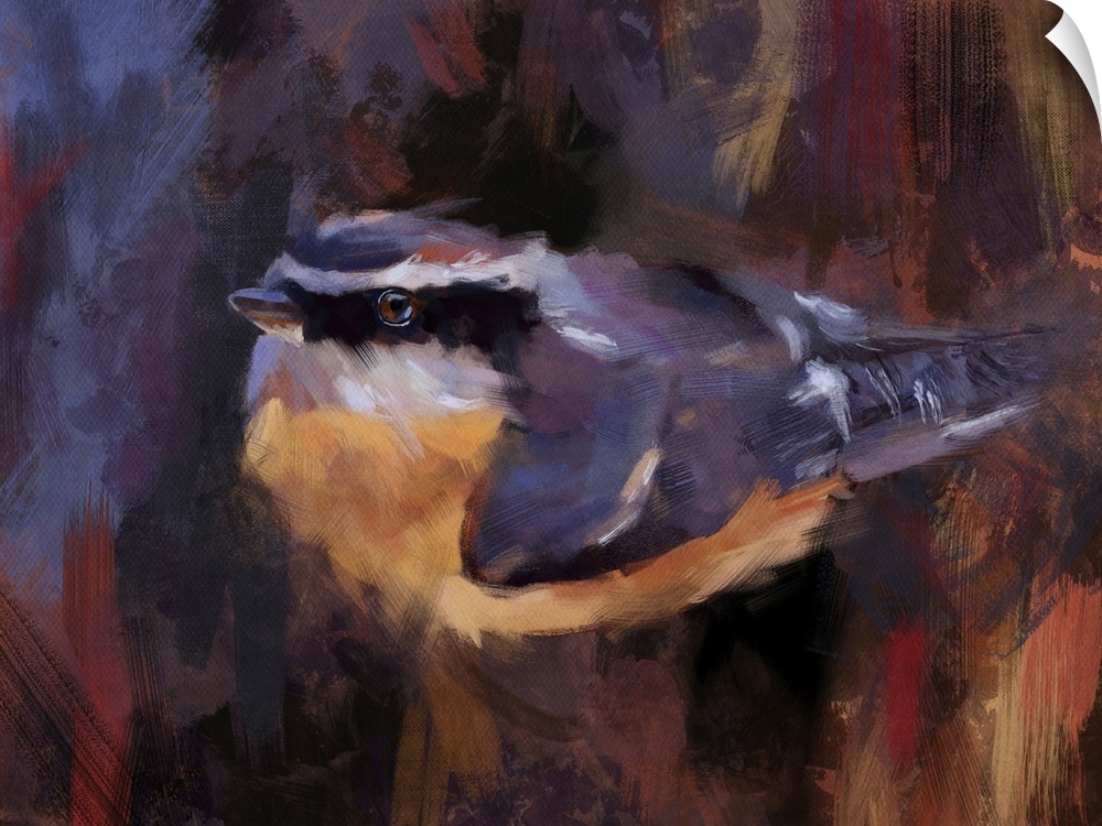 Impressionist painting of a Red-breasted Nuthatch. Alberta, Canada.