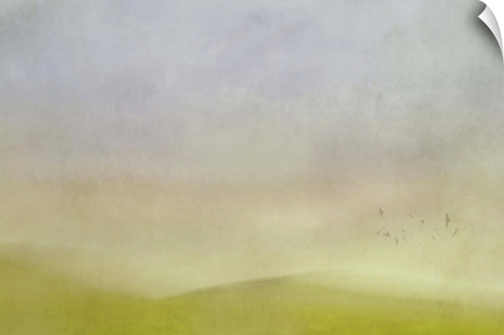 Painterly abstract blur of green hills, a flock of birds, and a cloudy sky.