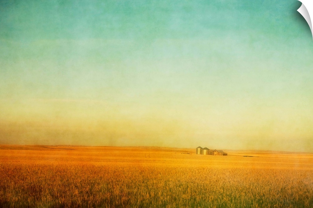 A fine art pictorialist photograph of a ripening wheat field on the Canadian prairies during sunset. An old prairie buildi...