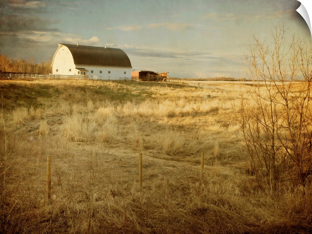 Pictorialist photo of a traditional white farm barn on a sunny spring morning on the prairies.