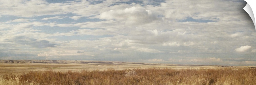 Panoramic photograph of a flat plain with dry grass under a cloudy sky.