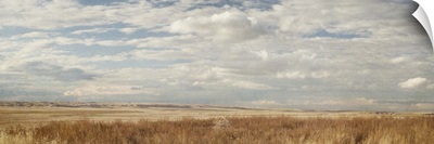 Prairie Panorama