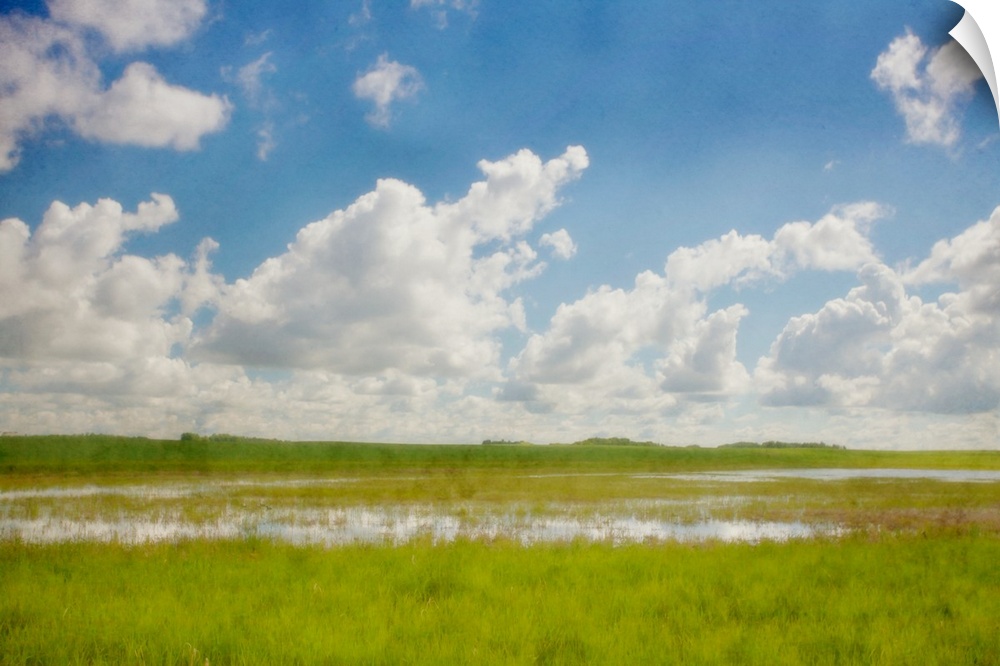 A photo of blue sky with white fluffy clouds over a grassy marshy field.