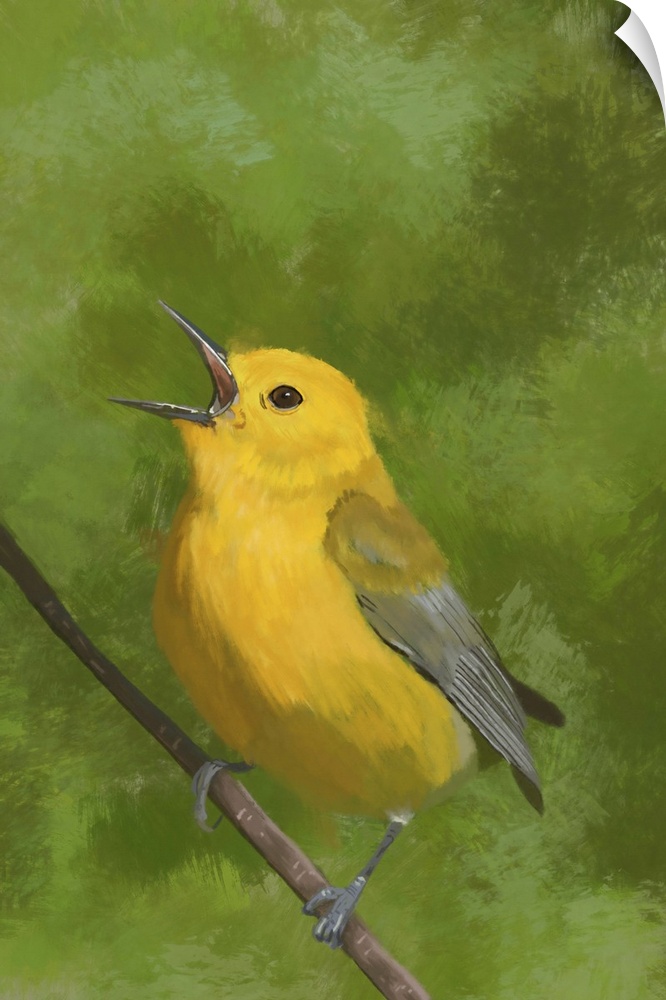 Digital painting of a Prothonotary Warbler. Alberta, Canada.