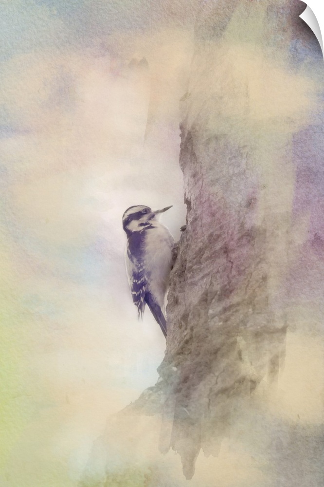 Painterly photo of a downy woodpecker on the trunk of a tree.