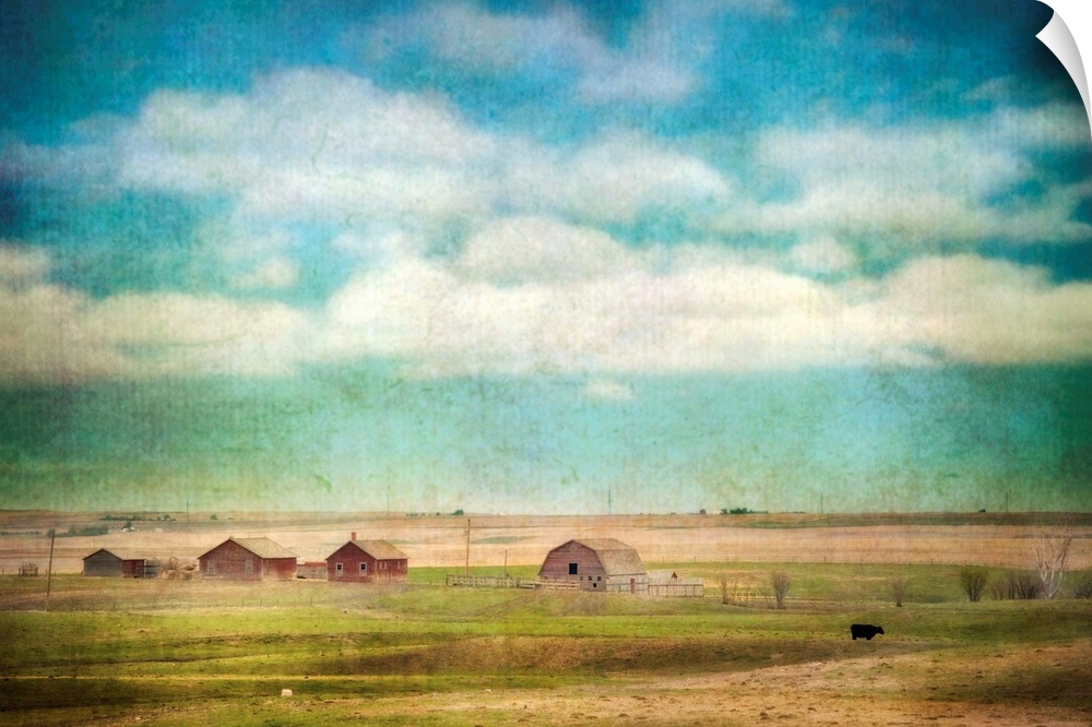 A lone cow and barns on a prairie farm.