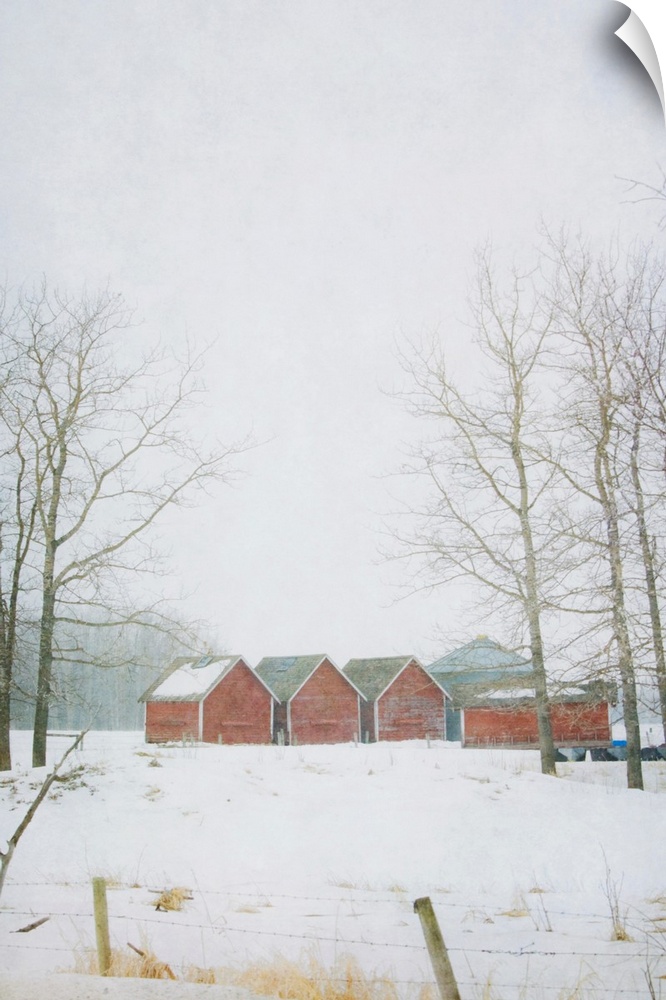 Pictorialist photo of red granaries on the prairie in winter.