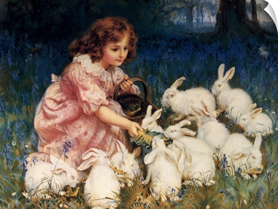 Feeding the Rabbits