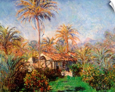 House Among the Palms