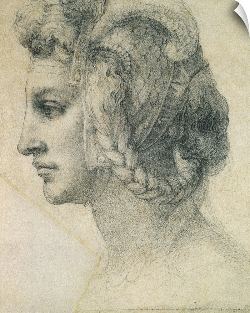 Ideal Head of a Woman