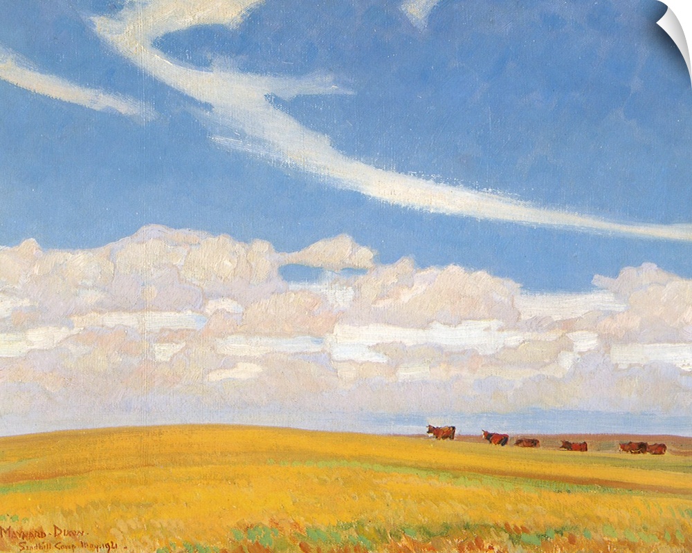 Prairie After Storm