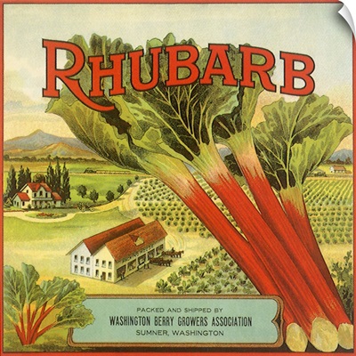 Rhubarb Fruit Label