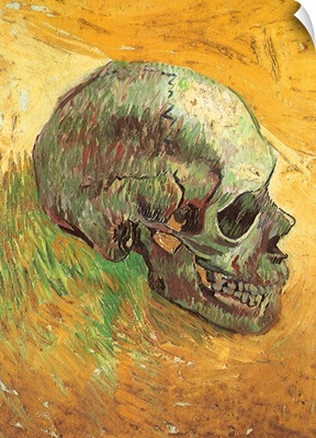 Skull in Profile