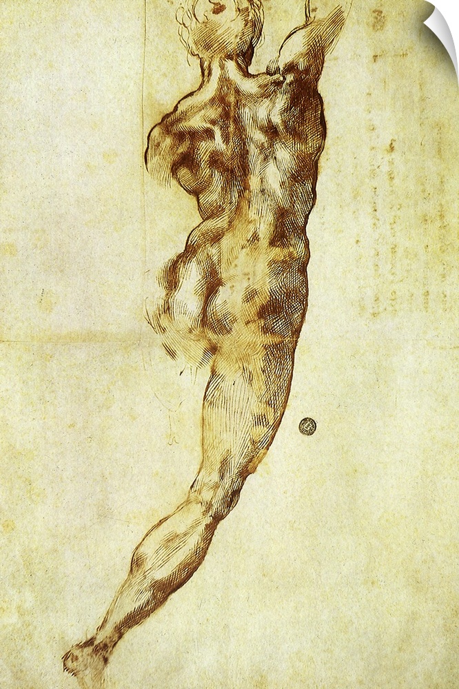 Study of a Nude for The Battle of Cascina