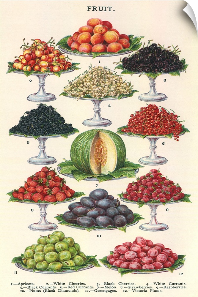 Tiers of Fruit