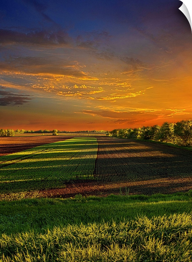 Dramatic photograph of a countryside scene.