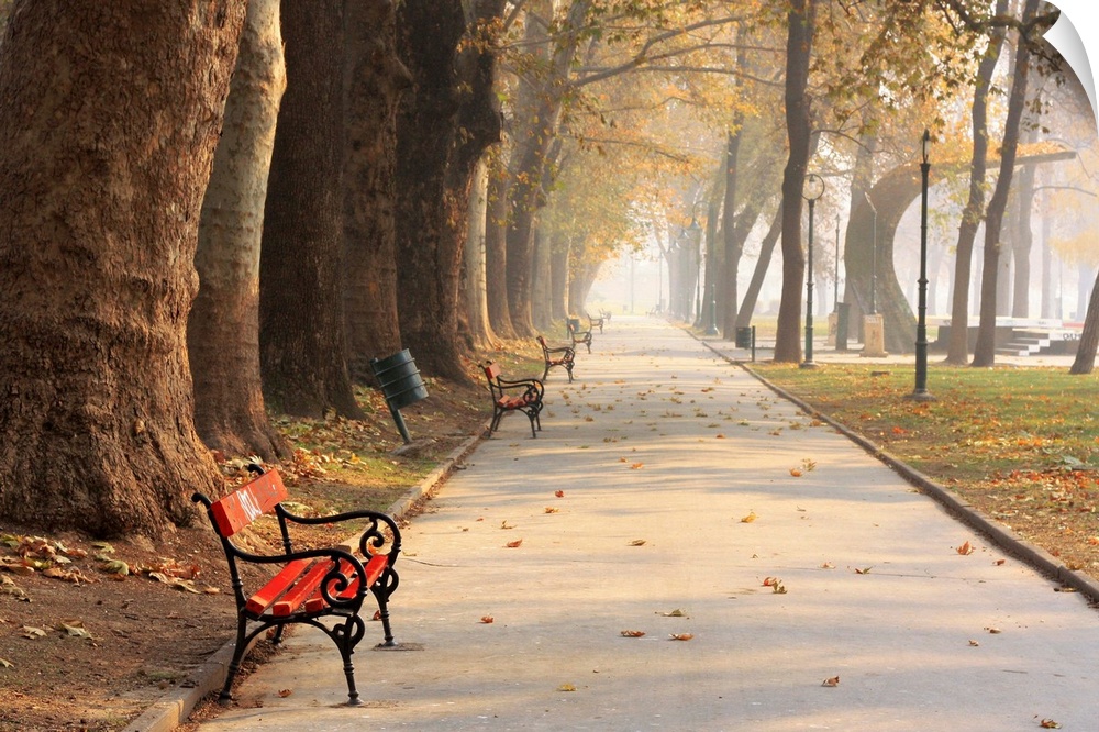 Benches along the edge of a walkway in Skopje City Park, Macedonia.