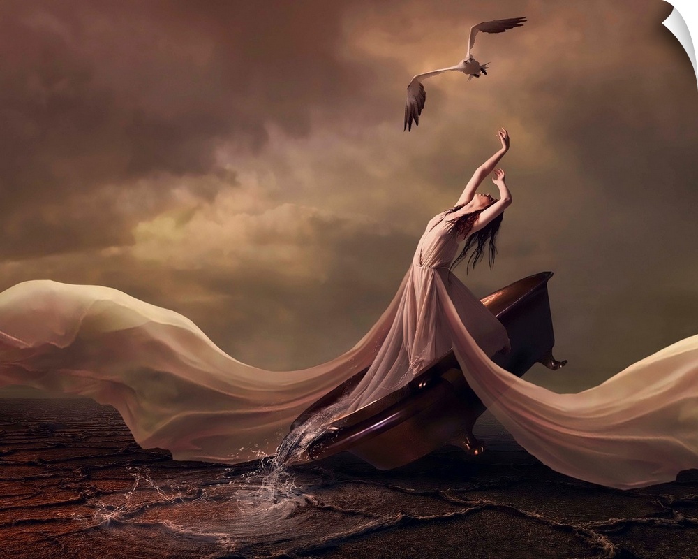 Image of a woman in a long flowing dress with her arms raised towards a bird i nthe sky, on a rocky coast.