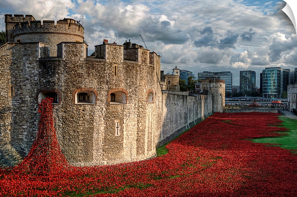 A sea of red ceramic poppies planted around the Tower of London in honor of the lives lost.