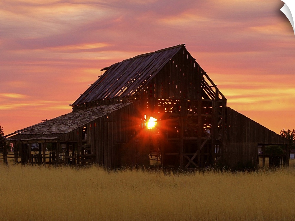 The setting sun shining through the beams of an old, abandoned barn.