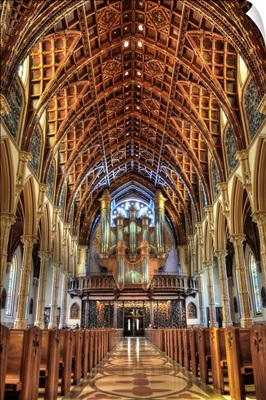 Inside The Cathedral