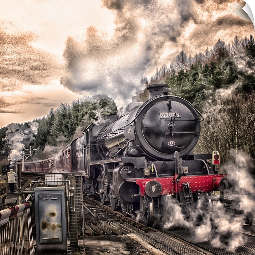 A powerful steam locomotive on the tracks near a forest on a cloudy day.