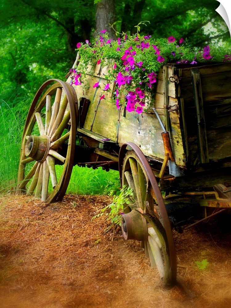 Lincoln Wagon
