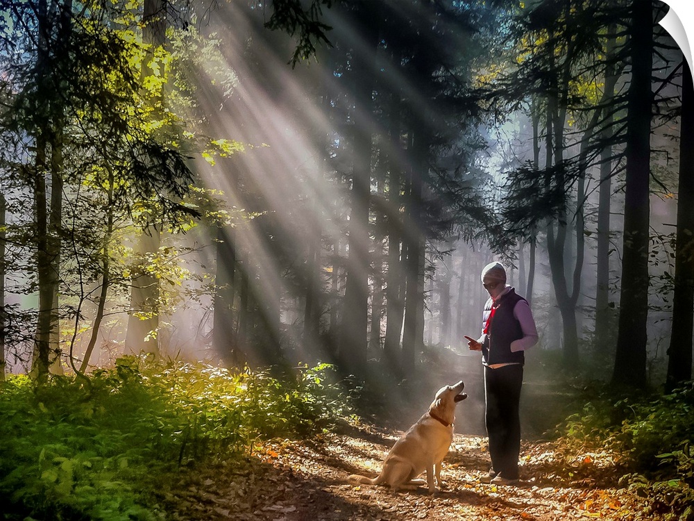 A person and their dog standing in the sunlight in a forest.