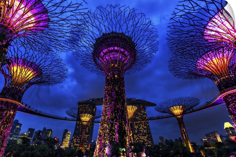 Photograph looking up at neon lit tree structures in Singapore.