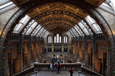 Natural History Museum Grand Hall