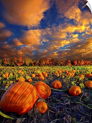 Pumpkin Crossing