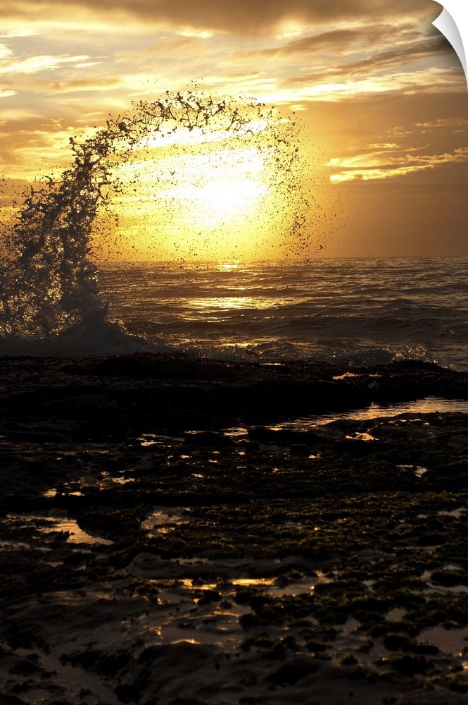 Photograph of a silhouetted wave curling into a circle after splashing up into the air.