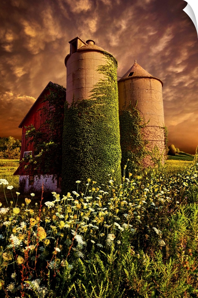 Old farm silos in a field in dawn light, Wisconsin.