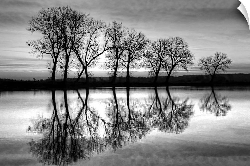 A black and white photograph of a line of trees reflecting in a canal below.