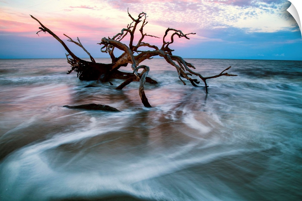 A gnarled piece of driftwood submerged in swirling water, Jekyll Island, Georgia.
