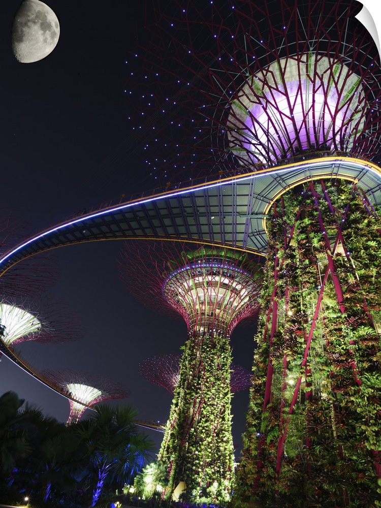 Beautiful tree-like structures in the city of Singapore.