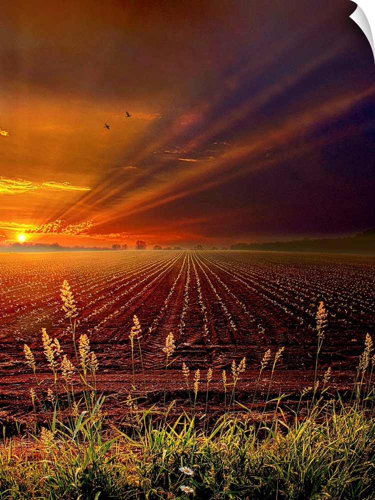 Sunset over a countryside scene in Wisconsin.